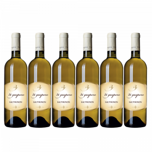 Sauvignon IGP - 6 Bottiglie